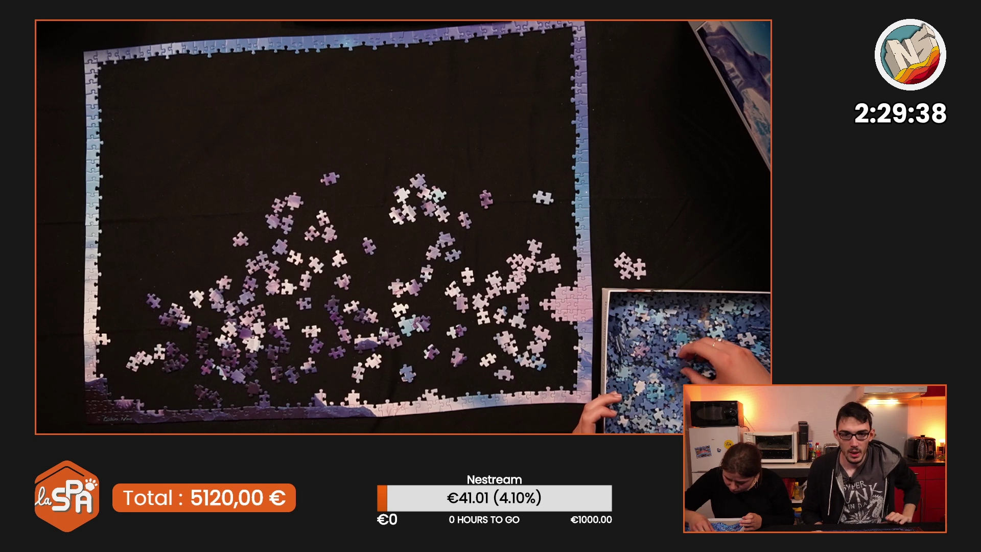 Image du stream de Nestream 2021